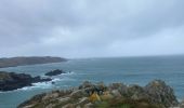 Trail Walking Beuzec-Cap-Sizun - Beuzec falaise beuzec - Photo 14