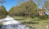 Tour Wandern Havelange - gros-chêne Chêne barvaux cdz - Photo 10