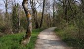 Trail Walking Saint-Julien-en-Genevois - Le long de l'Aire (Départ Thairy) - Photo 17