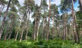 Tocht Stappen Court-Saint-Étienne - Dans le bois Sainte Catherine... - Photo 8