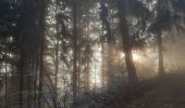 Tocht Stappen Apremont - pointe de la gorgeat par col granier - Photo 5