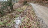 Percorso A piedi Kleinostheim - Blauer Laubbaum, Rundwanderweg Kleinostheim - Waldstadt - Photo 10