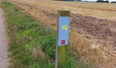 Randonnée Marche Argoules - boucle autour de l'abbaye de Valloires - Photo 3