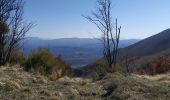 Trail Trail Sisteron - Chapage - Photo 6