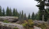 Trail Walking Saint-Étienne-lès-Remiremont - Le sentier des Pourdingues - Photo 8