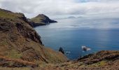 Trail Walking Caniçal - Madère : la presqu'île de Sao Lourenço - Photo 10