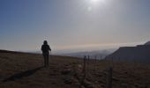 Randonnée Marche Saint-Agnan-en-Vercors - Montagne de Beure et But Sapiau - Photo 15