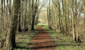 Tour Zu Fuß Querfurt - Hermannseck-Lodersleben - Photo 8