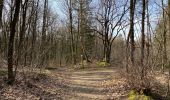 Trail Walking Aarschot - Aarschot 20,5 km - Photo 13