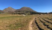 Tour Wandern Les Angles - 20220714 bollosa - refuge Camporells-lac d’Aude - Photo 9