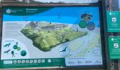 Trail Walking Passy - Plaine joue  - Photo 1