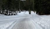 Trail Walking Gemeinde Seefeld in Tirol - W3_bis - Photo 6