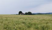 Tocht Stappen Ronsenac - La boucle de Ronsenac - Photo 5