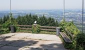 Tour Zu Fuß Garsten - Hufeisen Rundweg - Photo 2