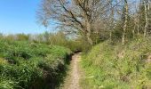 Tour Wandern Beauvechain - HAMME mille 20,8 km - Photo 14