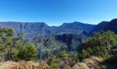 Trail Walking Entre-Deux - Entre-Deux - Sentier Inard (boucle) - Photo 11