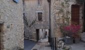 Trail Walking Roquefort-des-Corbières - Roquefort des Corbières  - Photo 17