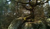 Trail Walking Fontainebleau - L'épine et la mare aux évés - Photo 1
