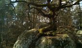 Excursión Senderismo Fontainebleau - L'épine et la mare aux évés - Photo 1