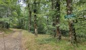 Trail Walking Riols - sentier des légendes et tour du lac  - Photo 1