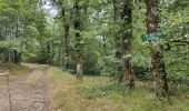 Tocht Stappen Riols - sentier des légendes et tour du lac  - Photo 1