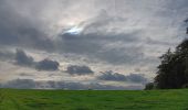 Trail Walking Modave - modave - clavier station, retour par la ligne 126 - Photo 17