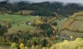 Trail Horseback riding Plainfaing - Bernard fred Delphine yoigo - Photo 4