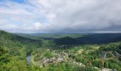 Tour Wandern Vresse-sur-Semois - rando laforêt 24-05-2022 - Photo 14