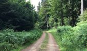 Trail On foot Rotenburg an der Fulda - Rotenburg-Cornberg - Photo 2