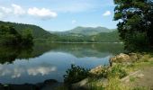 Tocht Stappen Murol - Chambon_Lac_Murol - Photo 1