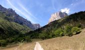 Percorso Marcia Châtillon-en-Diois - Cirque d'Archiane - Les Hauts Plateaux du Vercors - Photo 9