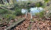 Randonnée Marche Le Revest-les-Eaux - La ripelle - barrage - Ragas - Olivières - Puit - Fourmis - Grottes de sable - Chateau Tourris - Mont combes - Touravelle - Chateau Ripelle                  - Photo 4