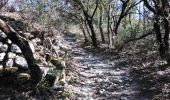 Trail Walking Mormoiron - St Pierre de vassol le LImon 84  - Photo 7