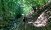 Trail Walking Florenville - Muno et roche à l'appel - Photo 5