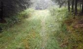 Excursión Senderismo Paliseul - Marche ADEPS à Carlbourg. 9 km 200 - Photo 2