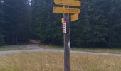Randonnée Vélo électrique Seyne - col du Fanget Chabanon 010825 - Photo 20