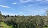 Tocht Stappen Les Baux-de-Provence - Huilerie, Vin, les baux de Provence, avec Château - Photo 1