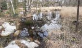 Trail Walking Fontainebleau - 21/02/2020 - Photo 9