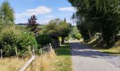 Tour Wandern Hohenfels - Promenade des crêtes - Photo 2