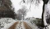 Trail Walking Lierneux - Promenade sur les hauteurs enneigées de Lierneux  - Photo 3