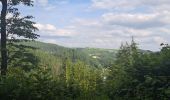 Trail Walking Burg-Reuland - Gr5 : Burg-Reuland-Duisburg  - Photo 2