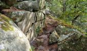 Trail Walking Fontainebleau - Sentier Denecourt 2 - Photo 14