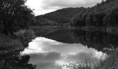 Randonnée Marche Fayence - St Paul en Forêt - Lac de Méaulx - Pont de l'Endre - Piste Colle Douce - Photo 3