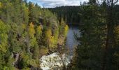 Randonnée A pied Kuusamo - Pieni Karhunkierros - Photo 8