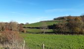 Trail Walking Voeren - entre Mouland et Fouron le Comte - Photo 11