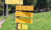 Trail Walking Les Adrets - LE GROS CAILLOU PAR LA COLONIE - Photo 2