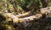 Trail Walking Lussas - 07 loutre gorges 09.07.2033 - Photo 5