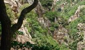 Tour Wandern Thuès-Entre-Valls - Gorges de Carança - Annie le 29 juin 2022 - Photo 18