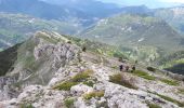 Trail Walking Châtillon-en-Diois - Le Jocou depuis le col de Menée  - Photo 4