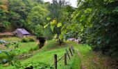 Excursión Senderismo Bièvre - Marche Adeps de Oizy 20 km - Photo 1